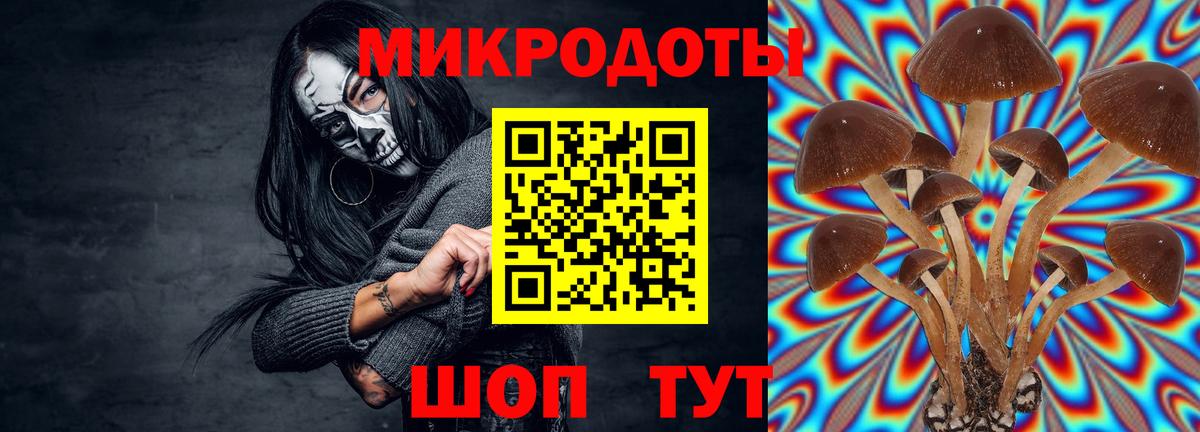 Искитим  Псилоцибиновые грибы Psilocybine cubensis  Вход с VPN 